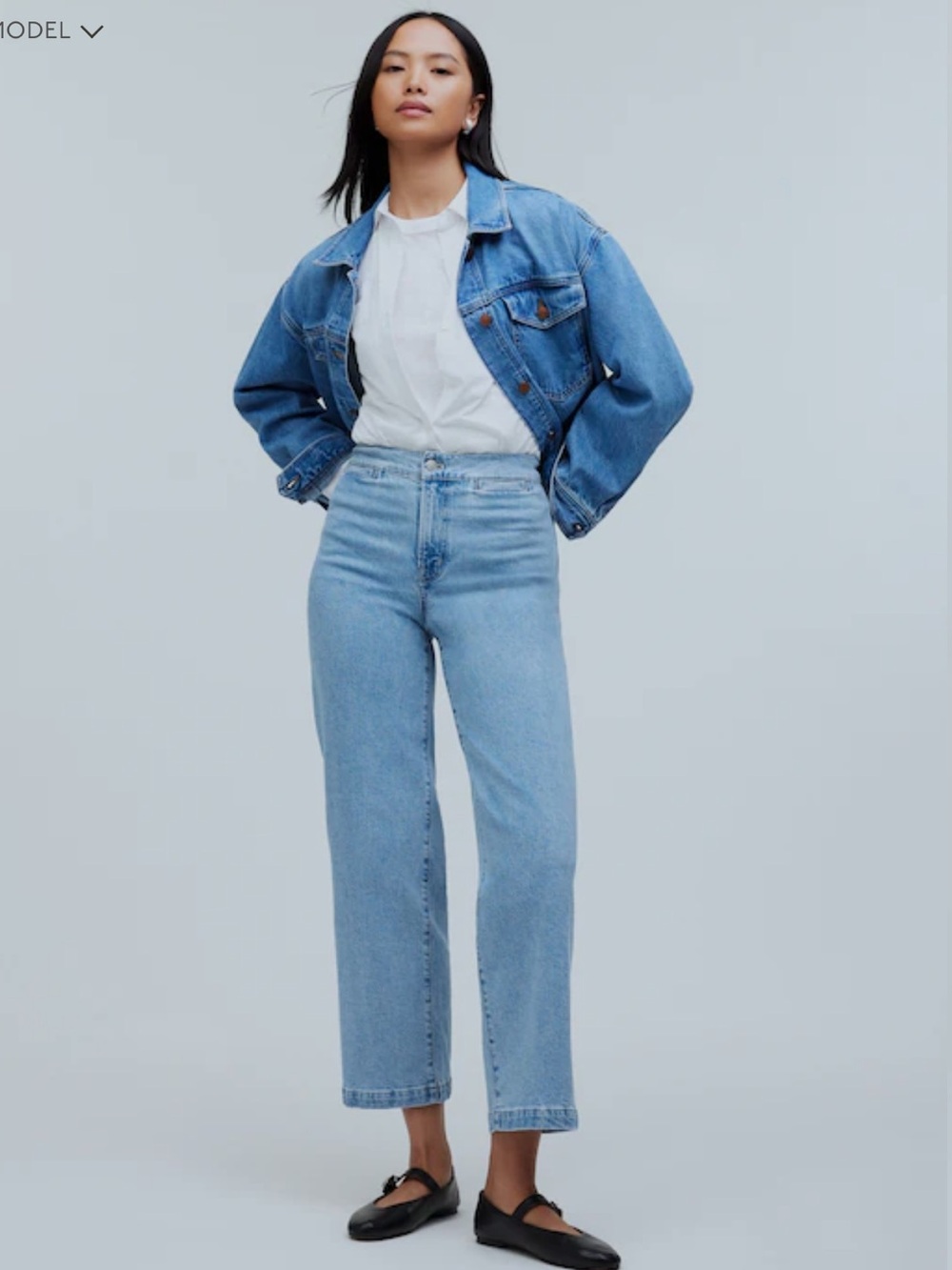Madewell The Emmett Wide-Leg Crop Jean: Welt Pocket Edition 28